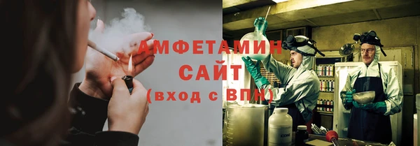 прущие грибы Зерноград