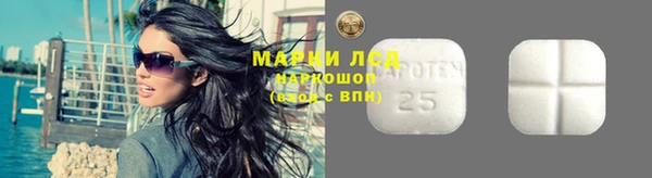 прущие грибы Зерноград